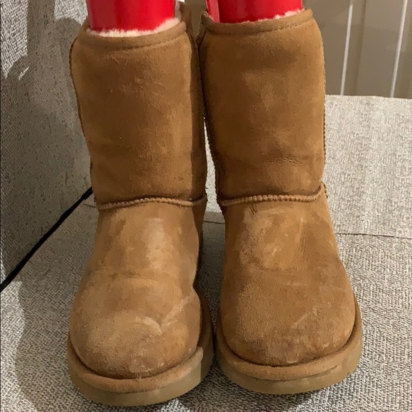 uggs womens classic short chestnut